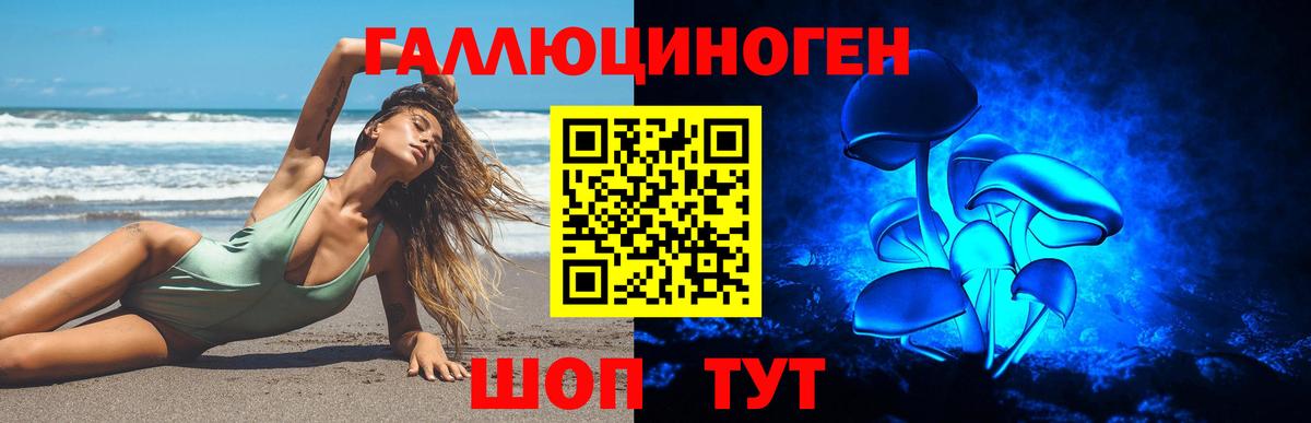 Псилоцибиновые грибы Psilocybine cubensis Чехов
